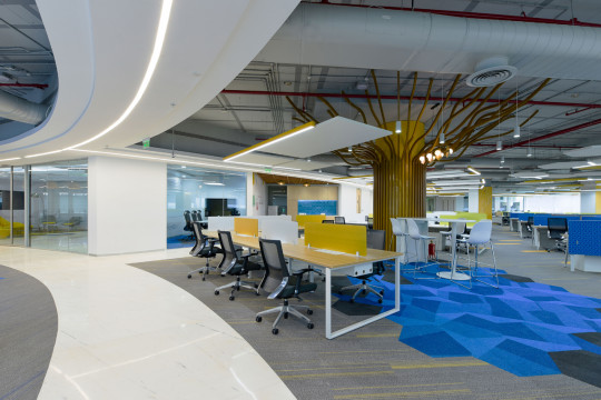 4 Office Layouts How to Choose the Right One for Your Business