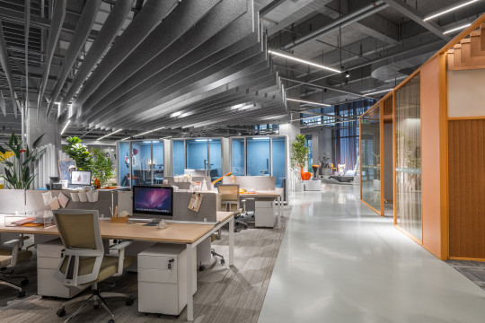 5 Elements of High Performance Work Environments