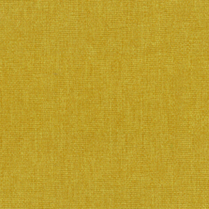 P-TTM01 Yellow.jpg